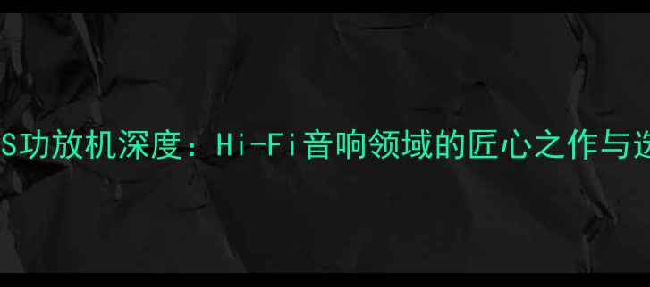 图片 意大利DLS功放机深度：Hi-Fi音响领域的匠心之作与选购指南1