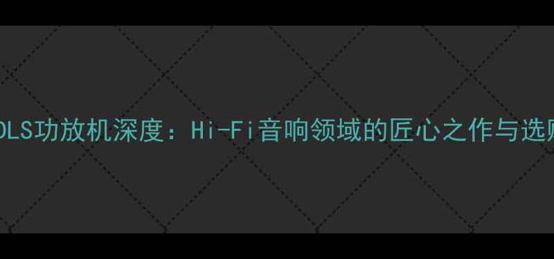 图片 意大利DLS功放机深度：Hi-Fi音响领域的匠心之作与选购指南2