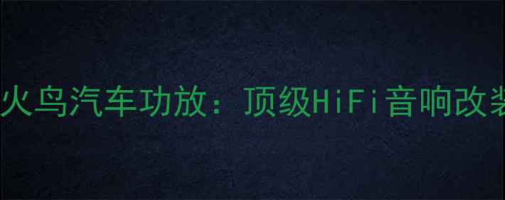 图片 意大利火鸟汽车功放：顶级HiFi音响改装方案2