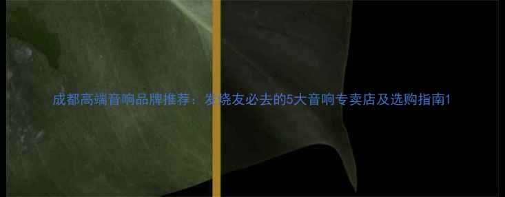 图片 成都高端音响品牌推荐：发烧友必去的5大音响专卖店及选购指南1
