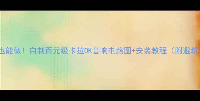 图片 手残党也能做！自制百元级卡拉OK音响电路图+安装教程（附避坑指南）1