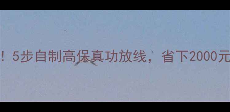 图片 手残党必看！5步自制高保真功放线，省下2000元还提升音质