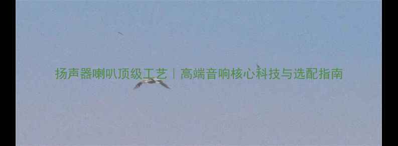 图片 扬声器喇叭顶级工艺｜高端音响核心科技与选配指南