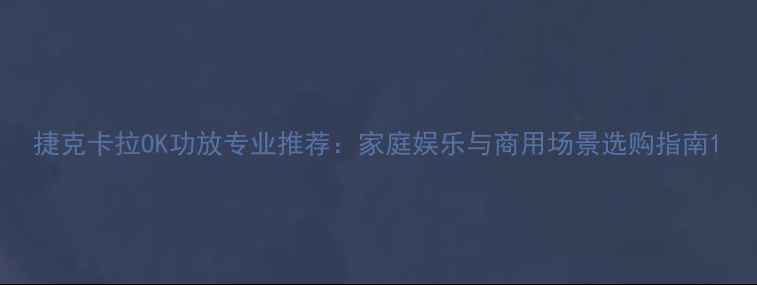 图片 捷克卡拉OK功放专业推荐：家庭娱乐与商用场景选购指南1