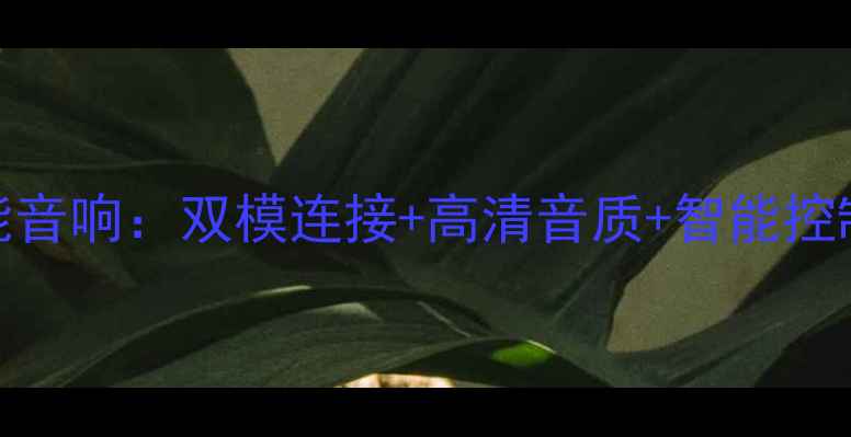 图片 支持网线直连的智能音响：双模连接+高清音质+智能控制，家庭影院新选择