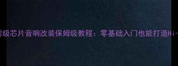 图片 数字功放+前级芯片音响改装保姆级教程：零基础入门也能打造Hi-Fi级听感！