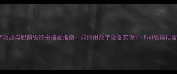 图片 数字功放与胆前级终极搭配指南：如何用数字设备实现Hi-End级模拟音质2
