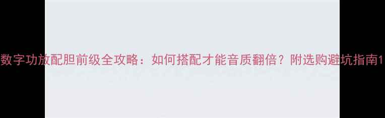 图片 数字功放配胆前级全攻略：如何搭配才能音质翻倍？附选购避坑指南1