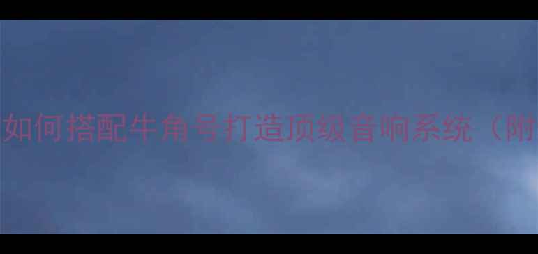 图片 新德克功放如何搭配牛角号打造顶级音响系统（附专业指南）