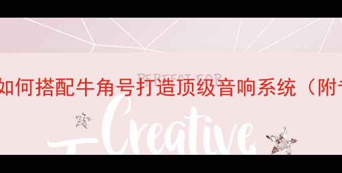 图片 新德克功放如何搭配牛角号打造顶级音响系统（附专业指南）1