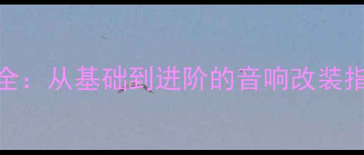 图片 新手必看功放接口全：从基础到进阶的音响改装指南（附详细图解）