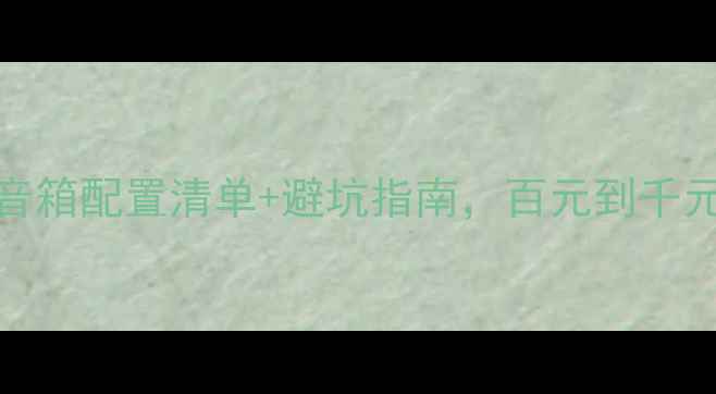 图片 新手必看！DIY音箱配置清单+避坑指南，百元到千元预算都能搞定1
