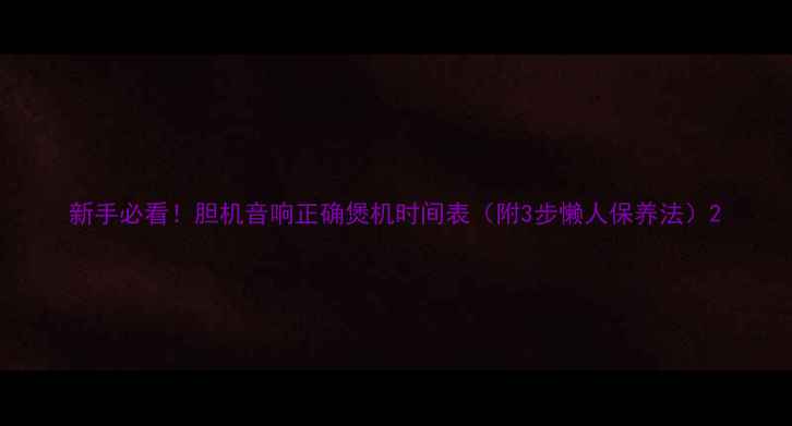 图片 新手必看！胆机音响正确煲机时间表（附3步懒人保养法）2