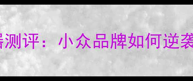 图片 新西兰连诗功放器测评：小众品牌如何逆袭高端音响市场？2