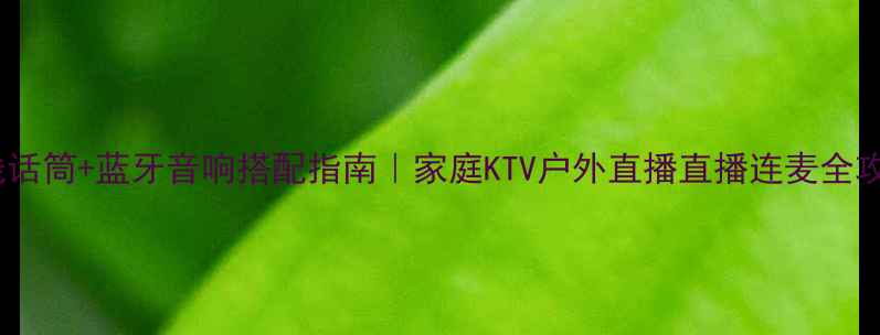 图片 无线话筒+蓝牙音响搭配指南｜家庭KTV户外直播直播连麦全攻略1