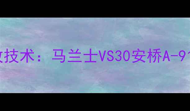 图片 日本Hi-Res认证前级功放技术：马兰士VS30安桥A-9110深度测评与选购指南2