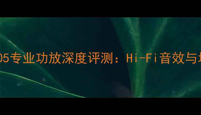 图片 日本力士AX105专业功放深度评测：Hi-Fi音效与场景化应用全