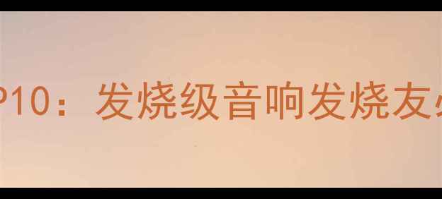 图片 日本纯功放音质推荐TOP10：发烧级音响发烧友必看的选购指南与品牌1