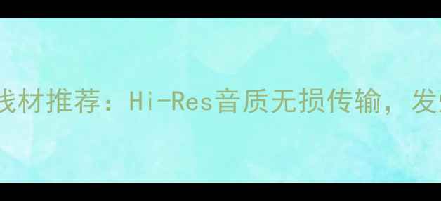 图片 日本进口发烧音响线材推荐：Hi-Res音质无损传输，发烧友必看选购指南2