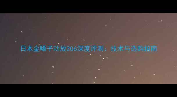 图片 日本金嗓子功放206深度评测：技术与选购指南