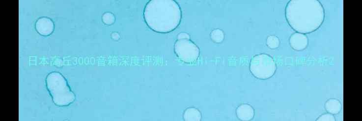 图片 日本高丘3000音箱深度评测：专业Hi-Fi音质与市场口碑分析2