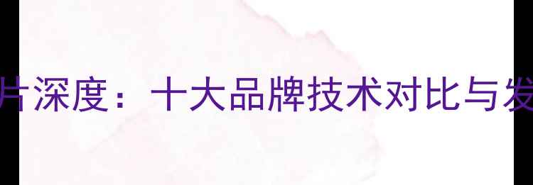 图片 日系功放DAC芯片深度：十大品牌技术对比与发烧友选购指南1