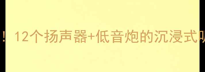 图片 普拉多音响喇叭数量大！12个扬声器+低音炮的沉浸式听感全（附改装指南）1