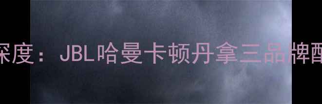 图片 智跑车型音响系统深度：JBL哈曼卡顿丹拿三品牌配置对比与改装指南