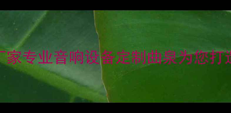 图片 曲泉喇叭麦克风厂家专业音响设备定制曲泉为您打造高品质声音体验