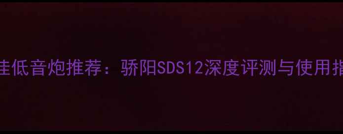 图片 最佳低音炮推荐：骄阳SDS12深度评测与使用指南