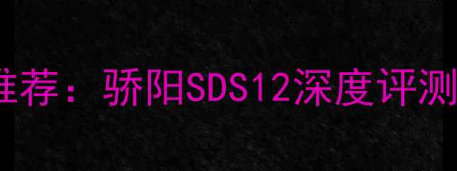 图片 最佳低音炮推荐：骄阳SDS12深度评测与使用指南1