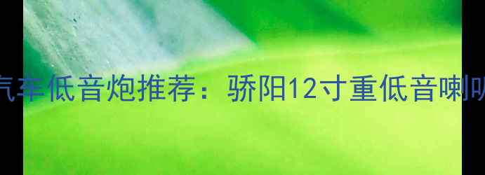 图片 最佳家用汽车低音炮推荐：骄阳12寸重低音喇叭深度评测