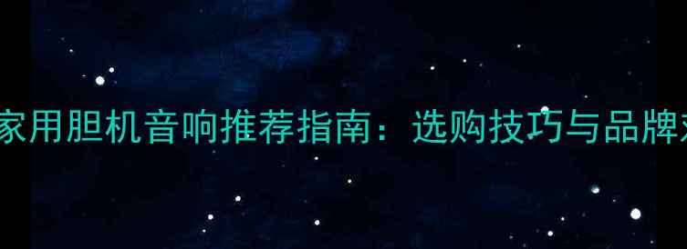 图片 最佳家用胆机音响推荐指南：选购技巧与品牌对比2