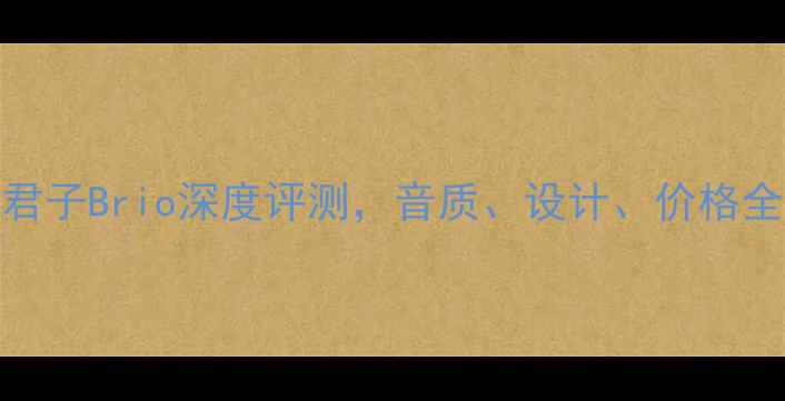 图片 最佳音响功放推荐：君子Brio深度评测，音质、设计、价格全（附真实用户反馈）