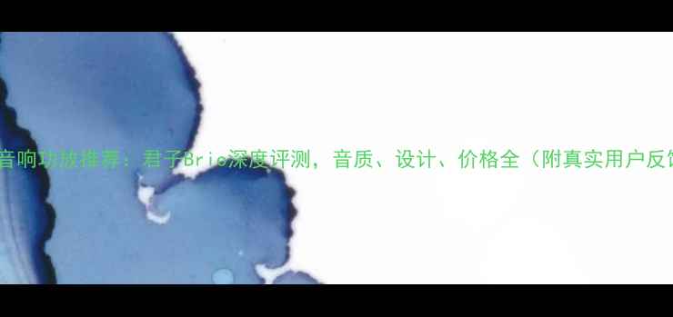 图片 最佳音响功放推荐：君子Brio深度评测，音质、设计、价格全（附真实用户反馈）2