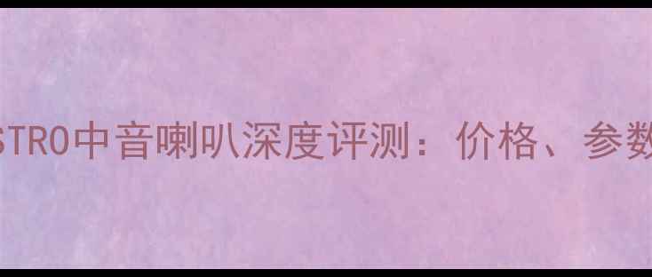 图片 最新报价MAESTRO中音喇叭深度评测：价格、参数与选购指南1