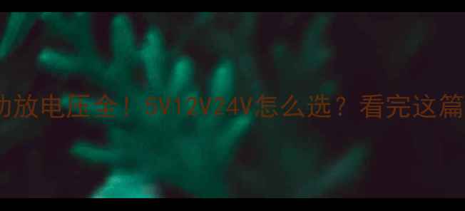 图片 最新音响功放电压全！5V12V24V怎么选？看完这篇就懂了！1