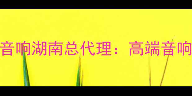 图片 权威代理宝华音响湖南总代理：高端音响设备采购指南