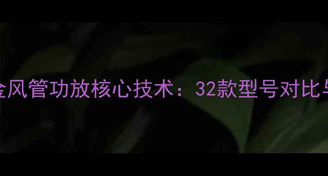 图片 权威美国金风管功放核心技术：32款型号对比与选购指南