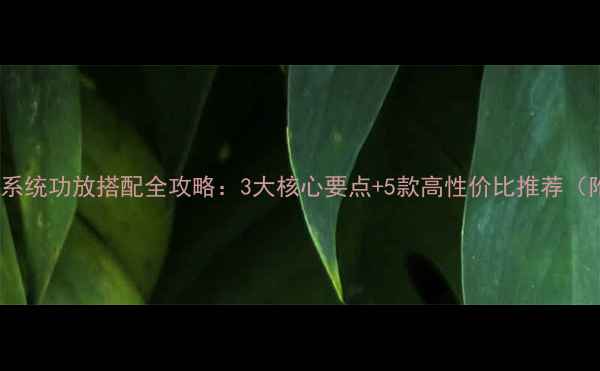 图片 枫叶之声音响系统功放搭配全攻略：3大核心要点+5款高性价比推荐（附实测数据）1