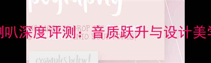 图片 柏林之声纪念版喇叭深度评测：音质跃升与设计美学（附选购指南）