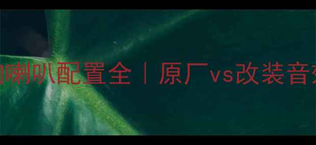 图片 标志308音响喇叭配置全｜原厂vs改装音效对比攻略1