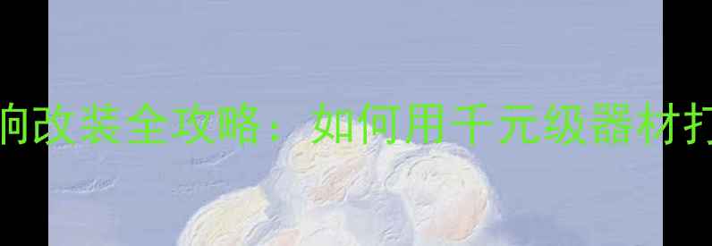 图片 标致207后门音响改装全攻略：如何用千元级器材打造沉浸式听感2