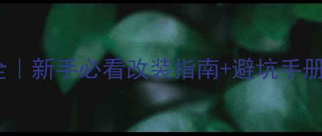 图片 标致301音响接口全｜新手必看改装指南+避坑手册（附高清接口图）