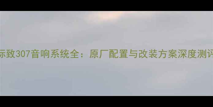 图片 标致307音响系统全：原厂配置与改装方案深度测评