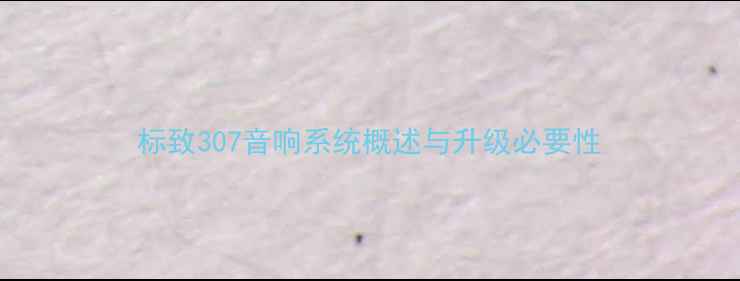 图片 标致307音响系统概述与升级必要性