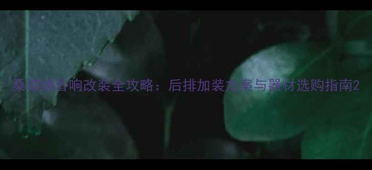 图片 桑塔纳音响改装全攻略：后排加装方案与器材选购指南2