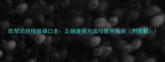 图片 欧琴功放接线端口全：正确连接方法与使用指南（附图解）1
