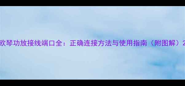 图片 欧琴功放接线端口全：正确连接方法与使用指南（附图解）2