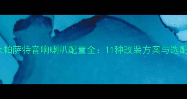 图片 款大众帕萨特音响喇叭配置全：11种改装方案与选配指南1
